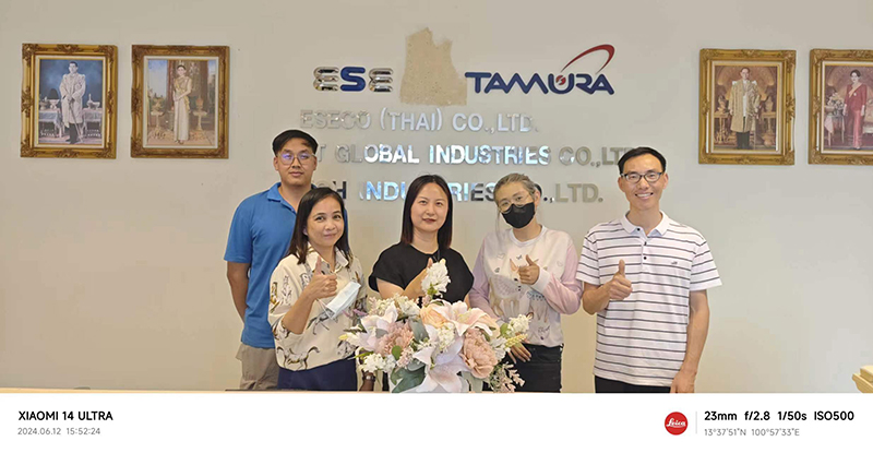 Geschäft nach Thailand für Edelstahldrähte